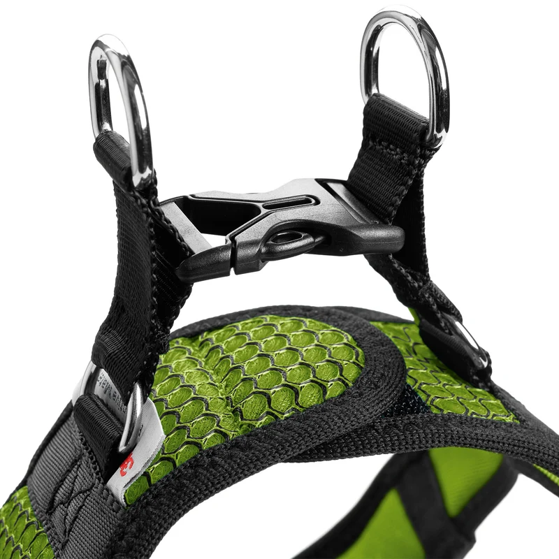 HILO Set Geschirr & Leine | limette