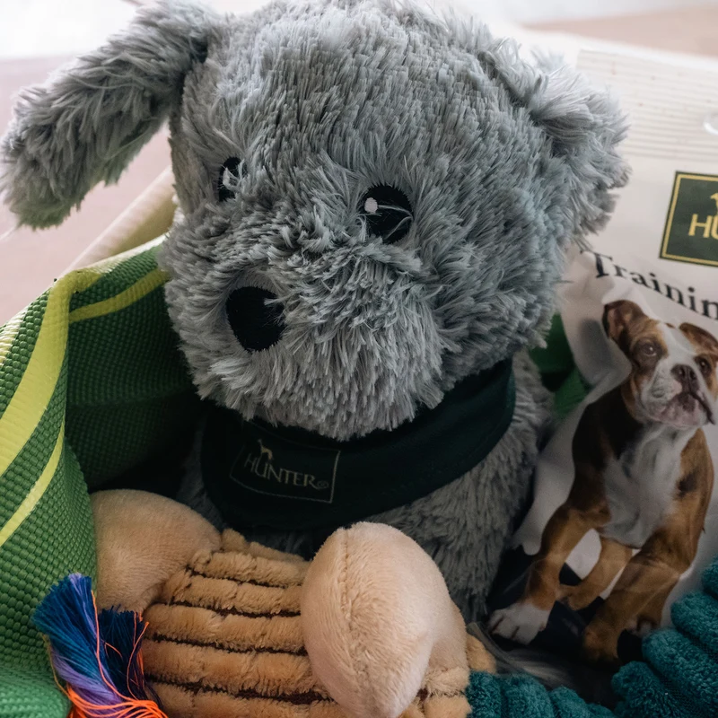 Spielzeugbox Hund