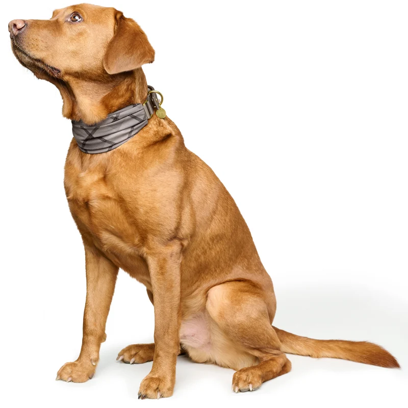 Ergonomisches Halsband Ronda