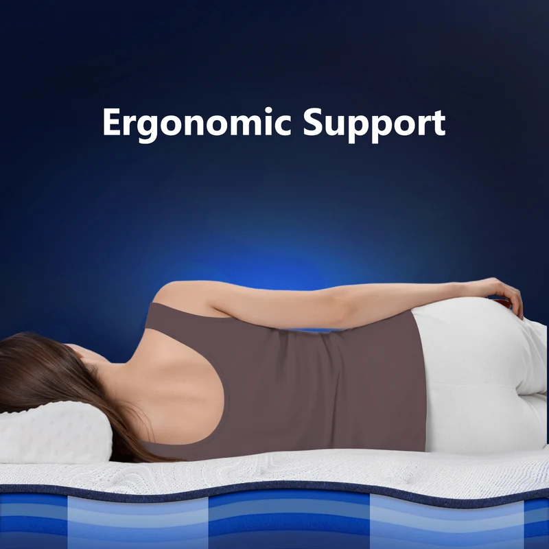 SPINE ALIGN Bundle