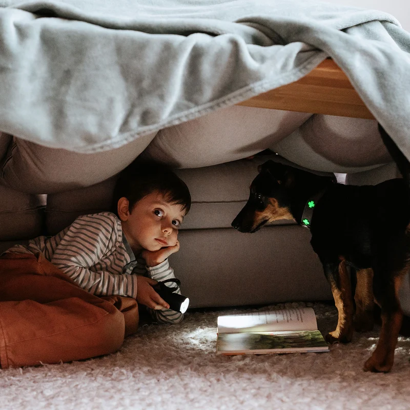 Halsband Swiss Glow