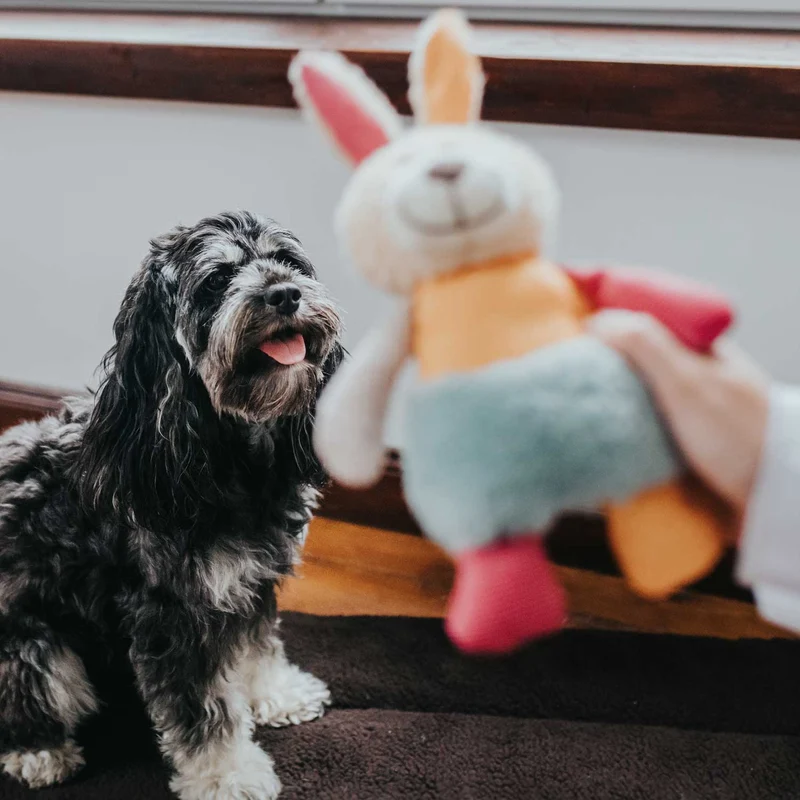 Hundespielzeug Muli