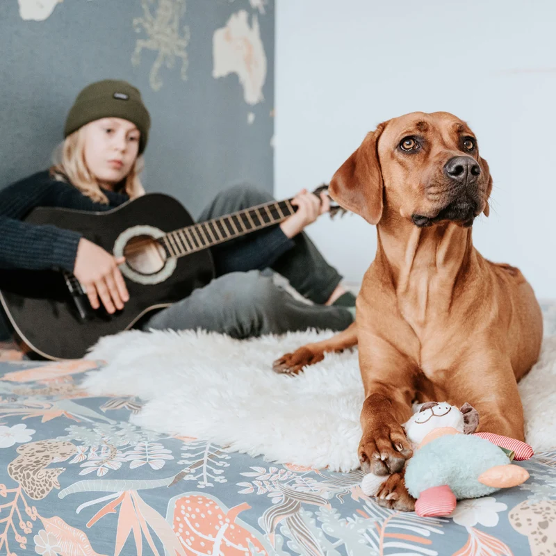 Hundespielzeug Muli