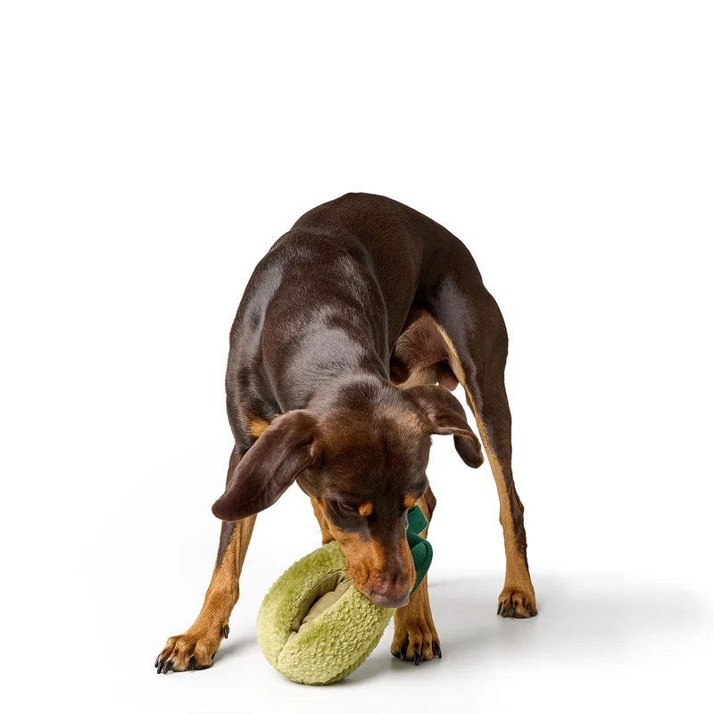 Hundespielzeug Venice