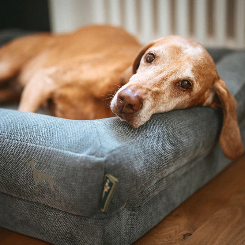 Orthopädisches/Ergonomisches Hundesofa Melun