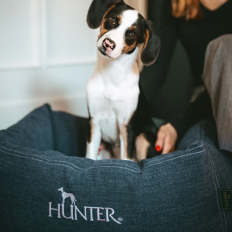 Orthopädisches/Ergonomisches Hundesofa Rotterdam