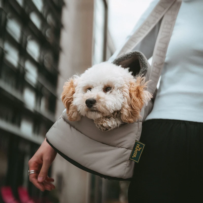 2-in-1 Hunde-Tragetasche und Decke Seoul
