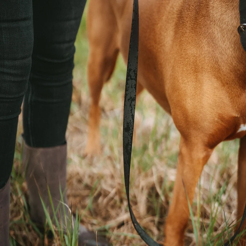 Verstellbare Führleine Wolmar BioThane® x Leder