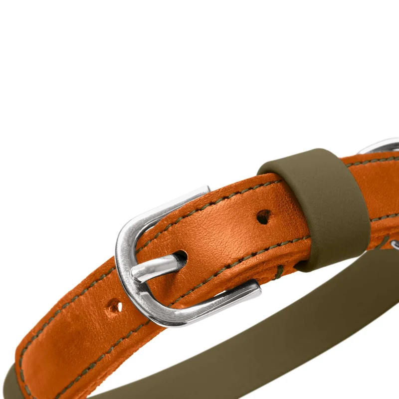Halsband Wolmar BioThane® x Leder