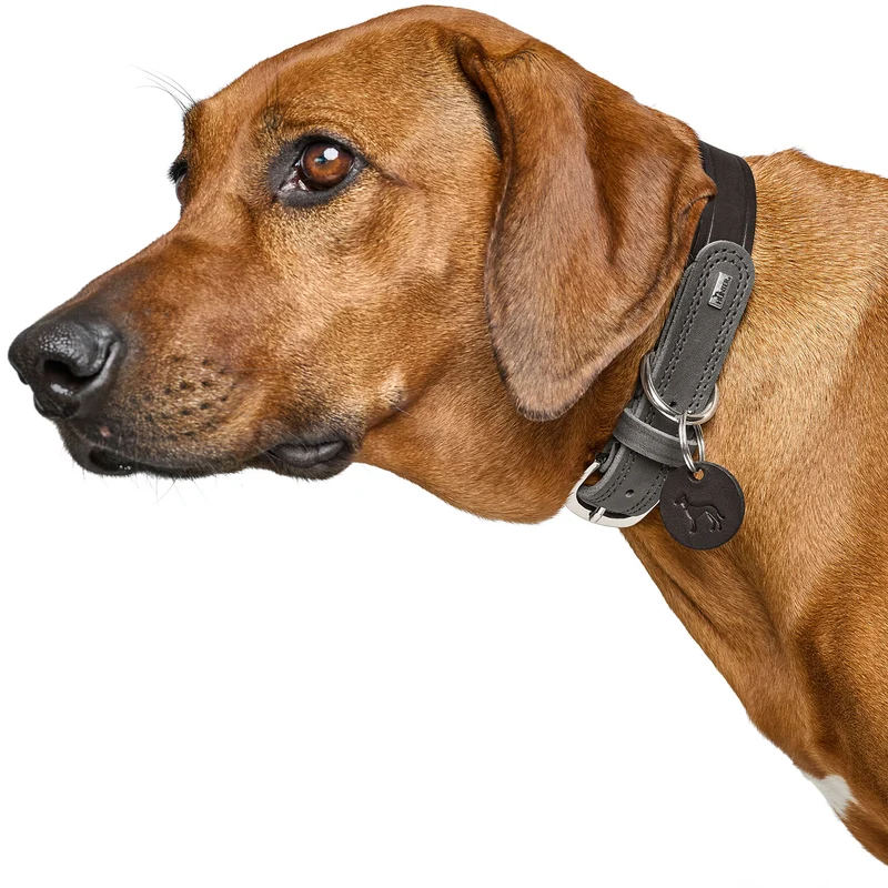 Halsband Lemvig