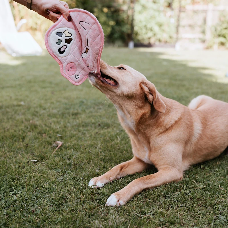Hundespielzeug Koloa