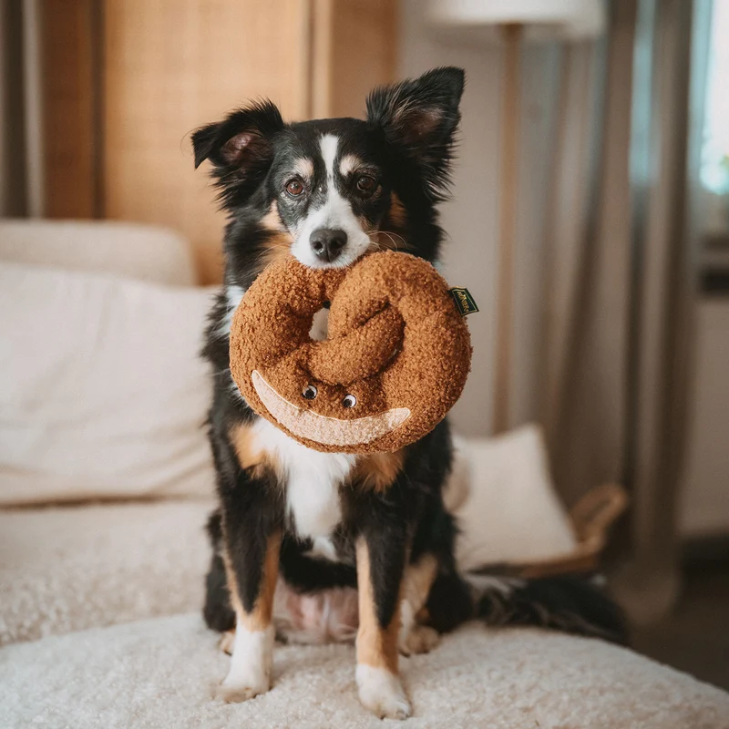 Hundespielzeug Belem