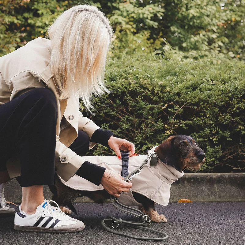 Hundemantel Nordby Dackel