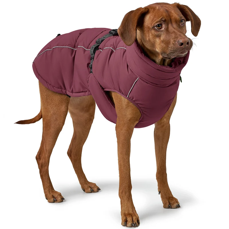 Hundemantel Paxson