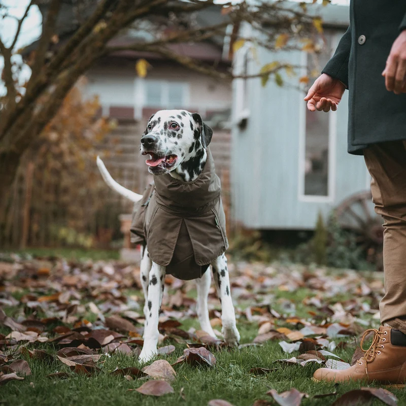 Hundemantel Nordby