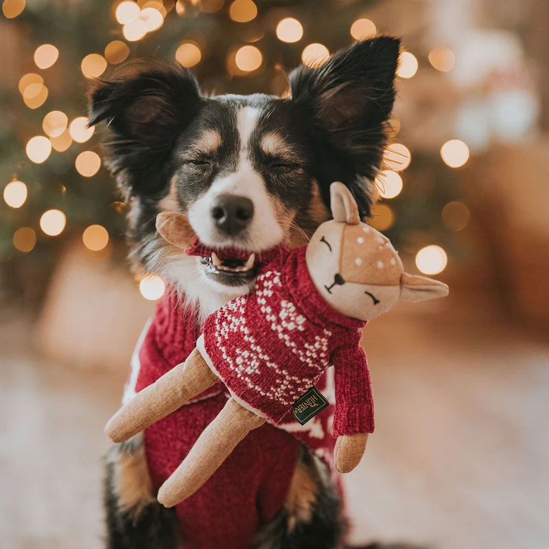 Hundespielzeug Birka