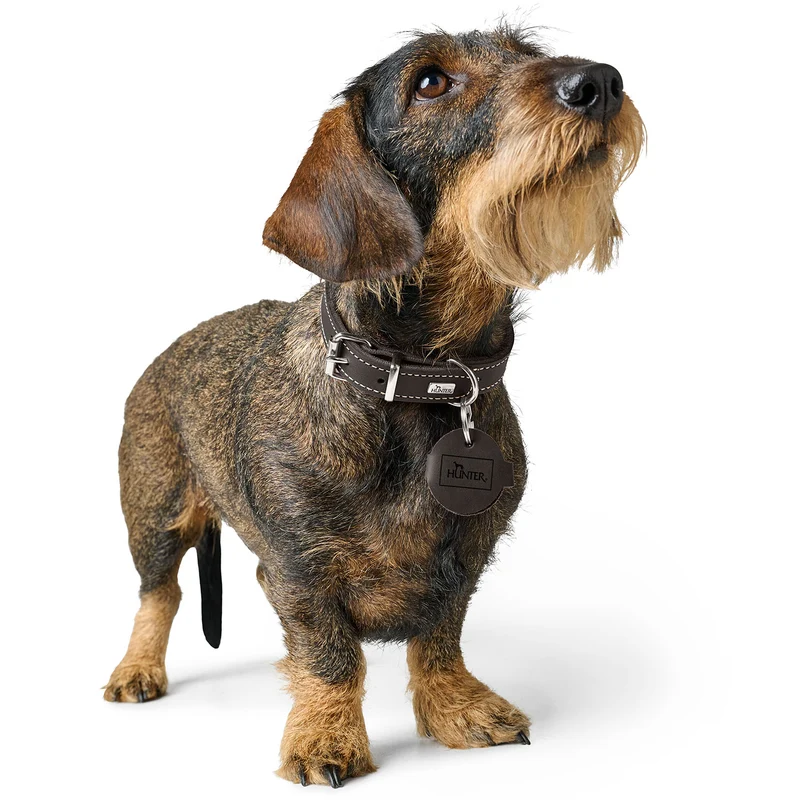Anhänger Hundemarken-Etui Aalborg