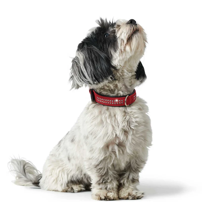 Halsband Softie Deluxe
