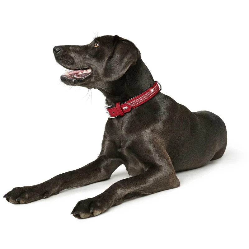 Halsband Softie Triluxe