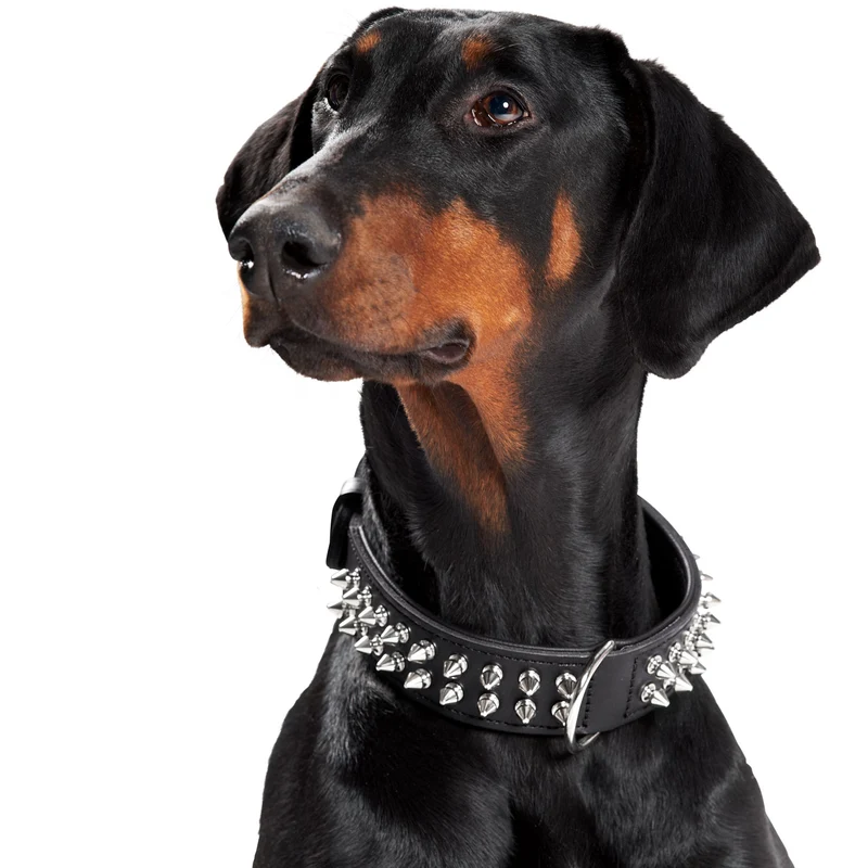 Halsband Rambo