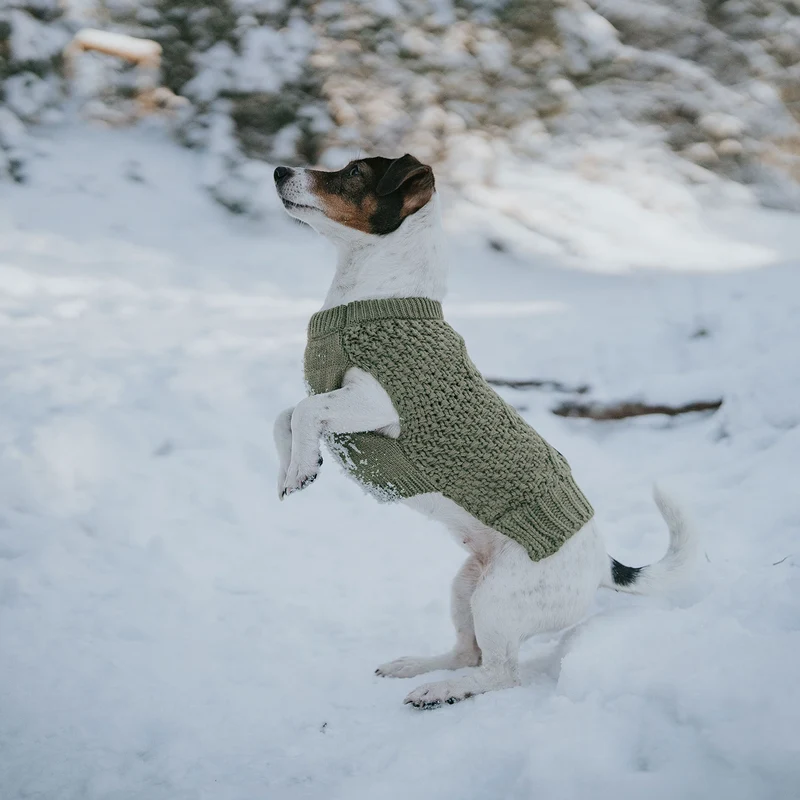 Hundepullover Malmö