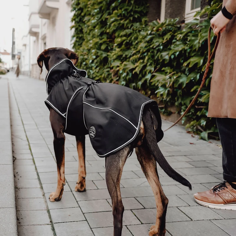 Hundemantel Uppsala Softshell