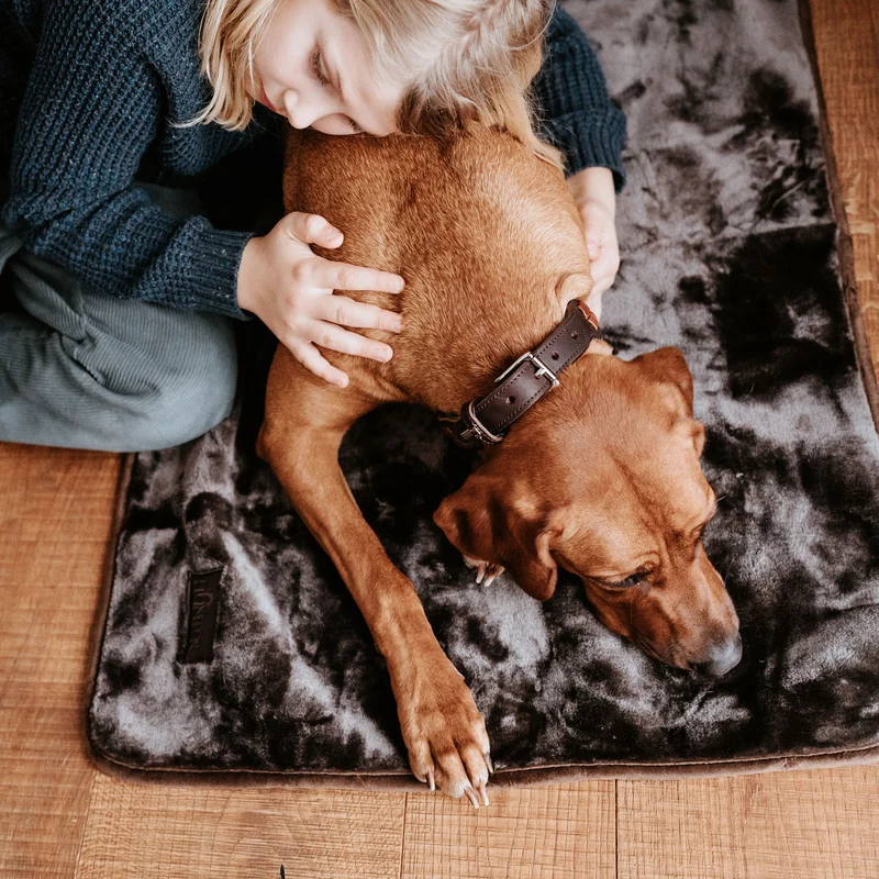 Hundedecke Konstanz