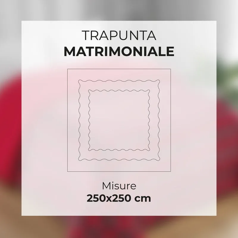 Trapunta Matrimoniale Flanellata Retro In Sherpa Piumone Invernale Il Gruppone