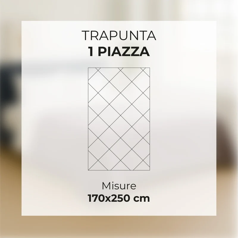 Trapunta Matrimoniale Velluto Retro in Microfibra Piumone Invernale Il Gruppone