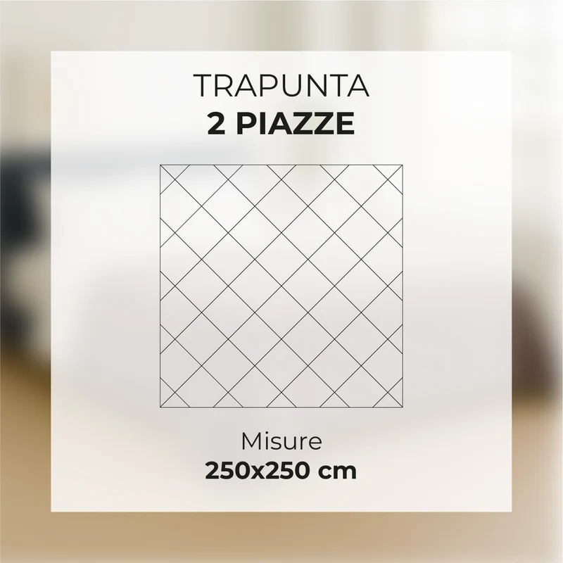 Trapunta Matrimoniale Velluto Retro in Microfibra Piumone Invernale Il Gruppone