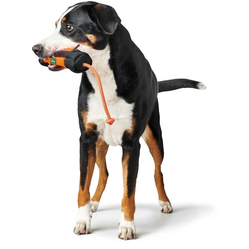 Trainer Snack Dummy mit Seil
