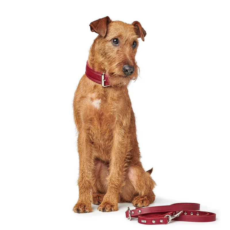 Halsband Aalborg Rustica