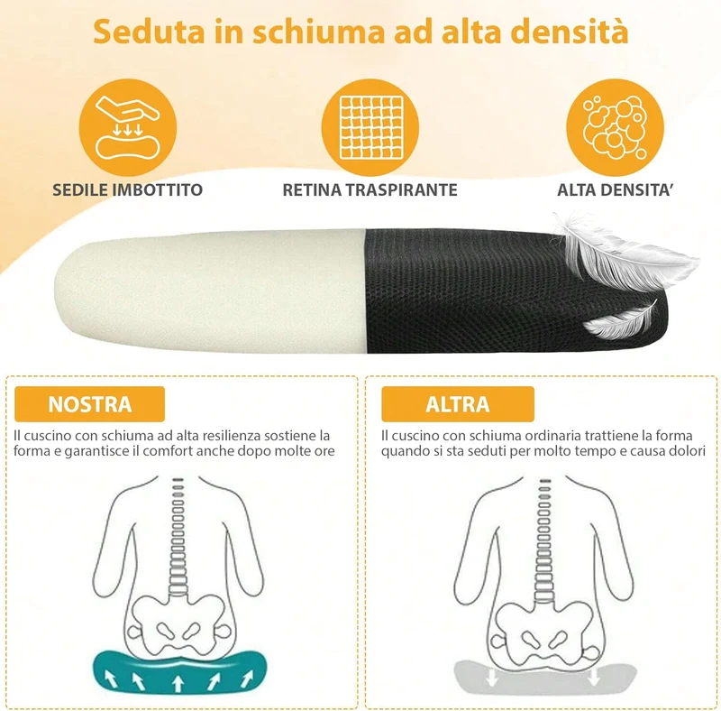 Sedia Da Ufficio Con Supporto Lombare, Il Gruppone