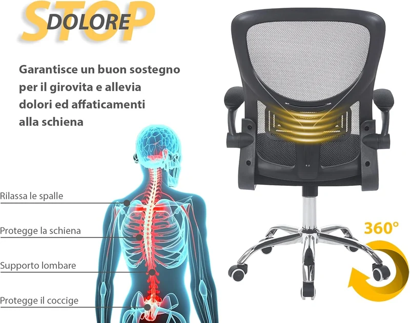 Sedia Da Ufficio Con Supporto Lombare, Il Gruppone