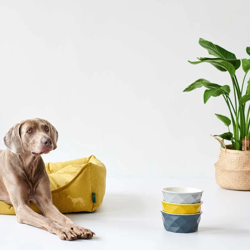 Hundesofa Eiby