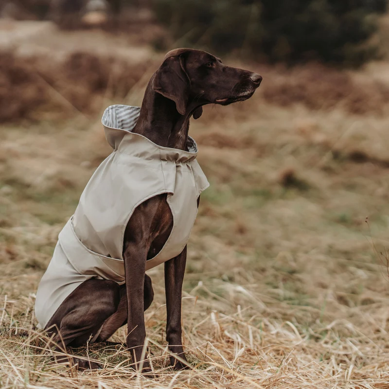 Hunde-Regenmantel Milford