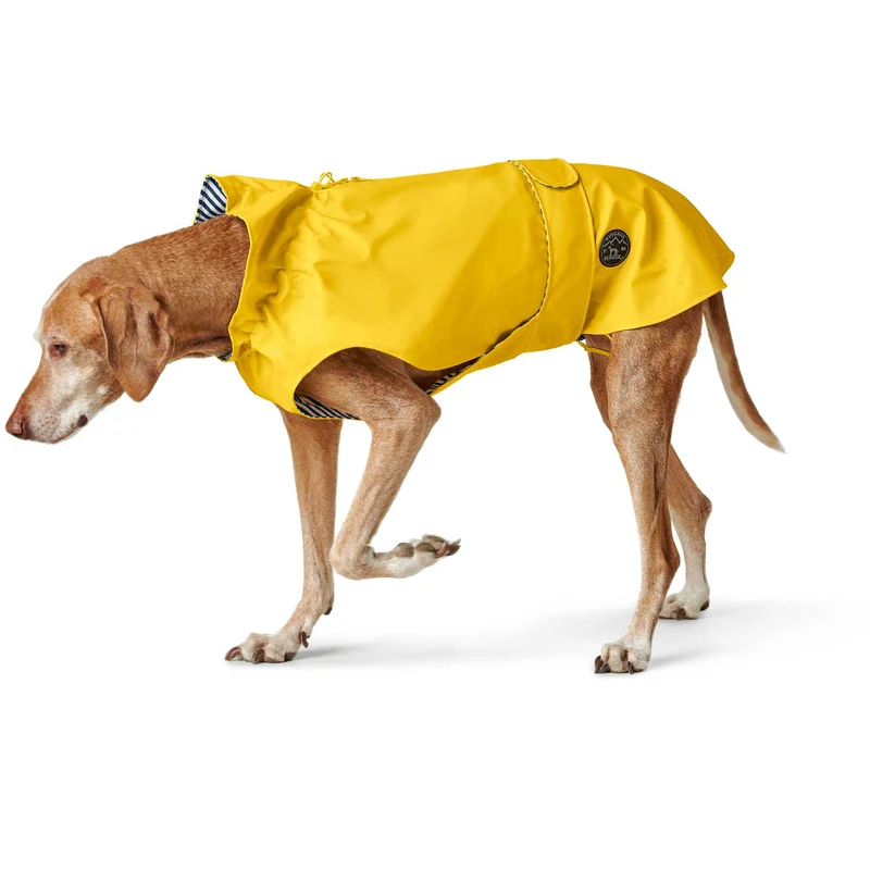 Hunde-Regenmantel Milford