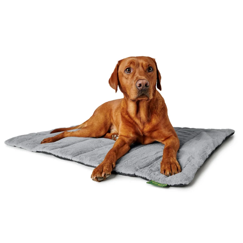Hunde-Reisedecke Rockford