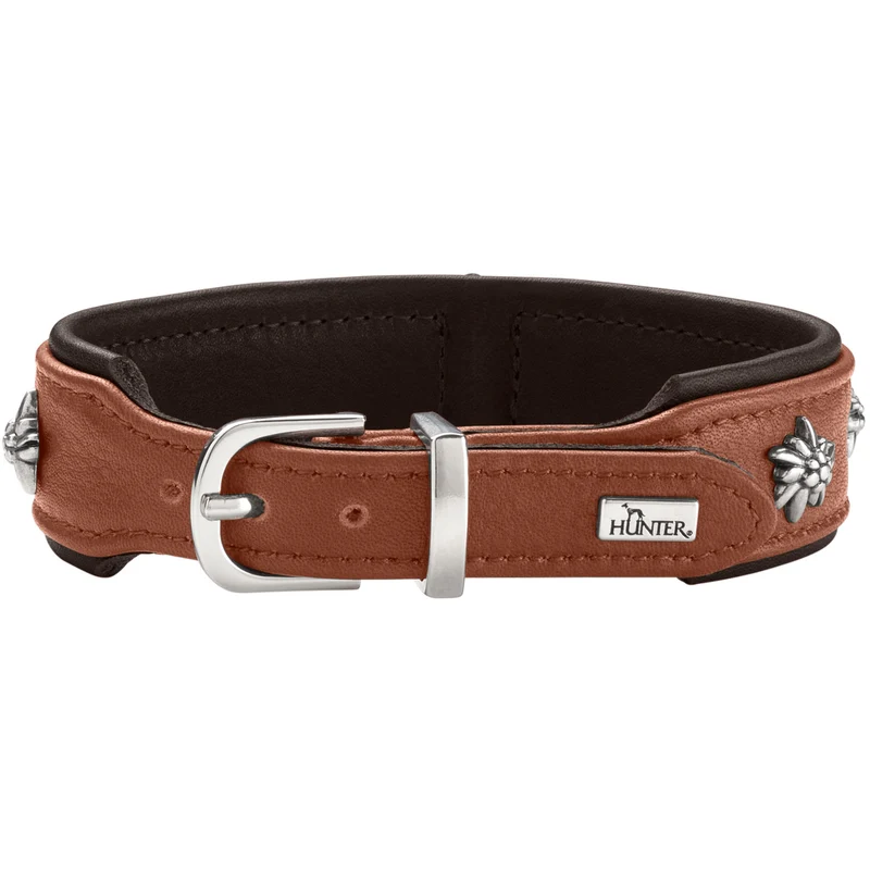 Halsband München