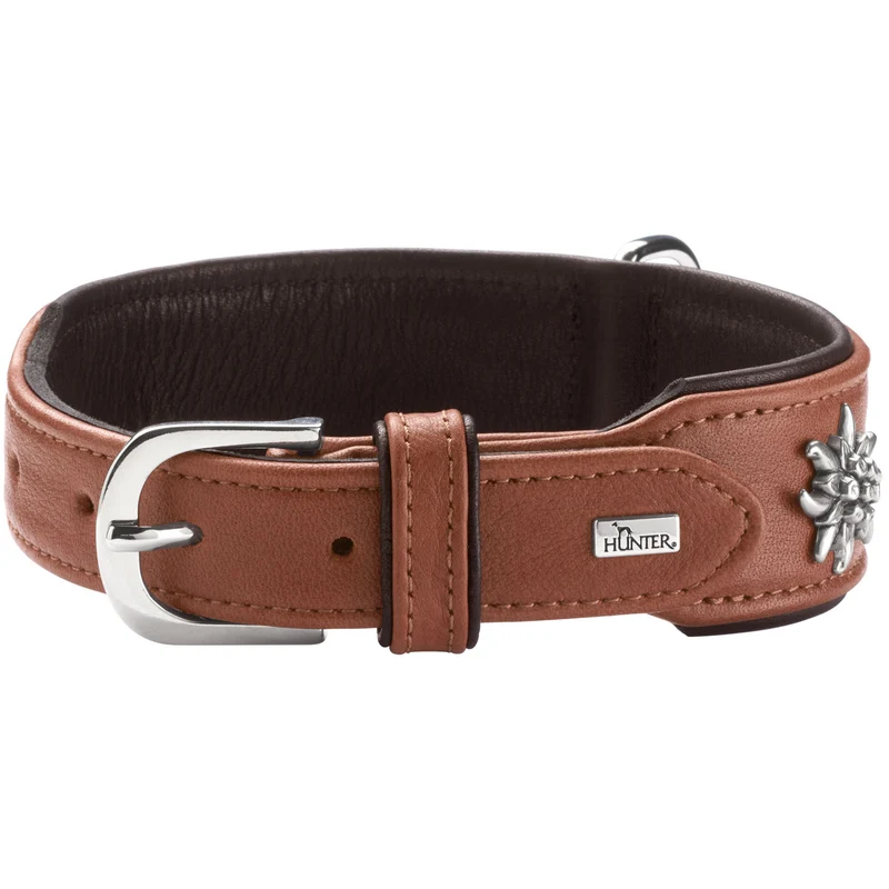 Halsband München