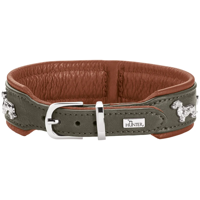 Teckel-Halsband München