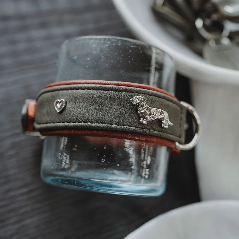 Teckel-Halsband München
