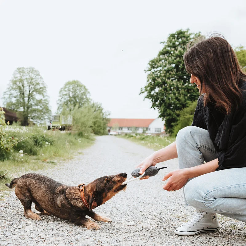 Hundespielzeug Nebraska