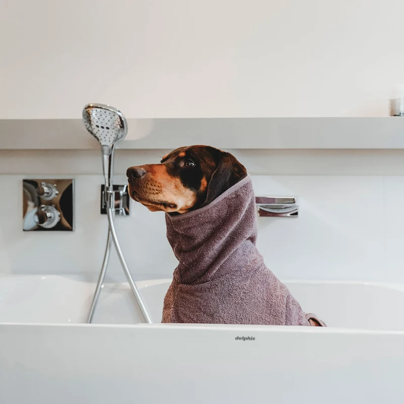 Hunde-Bademantel Riga