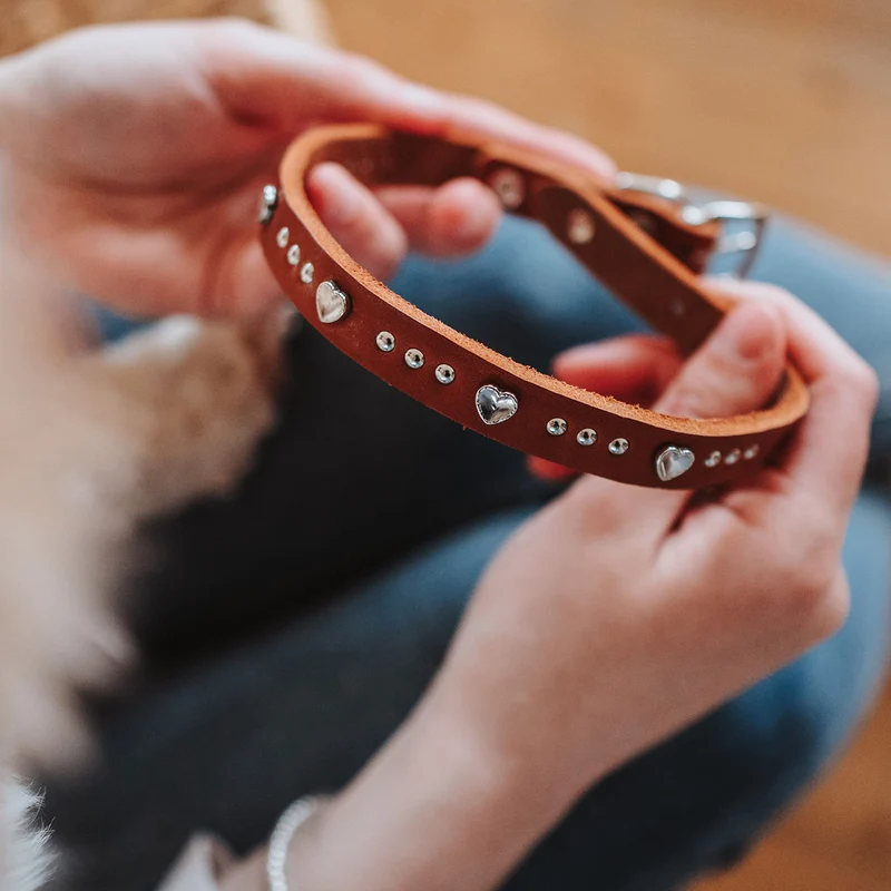 Halsband Aalborg Hearts