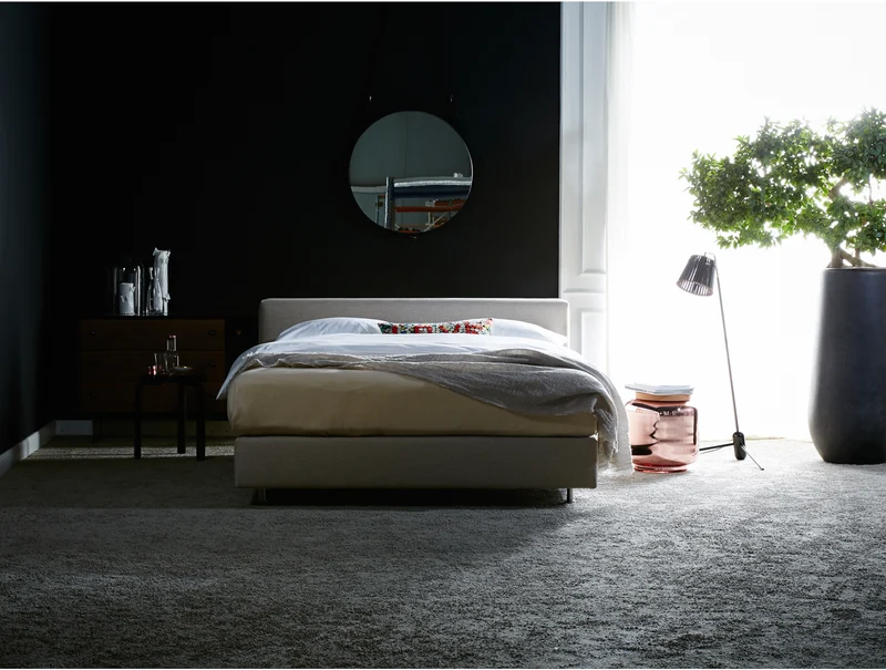 Schramm Purebeds Cube