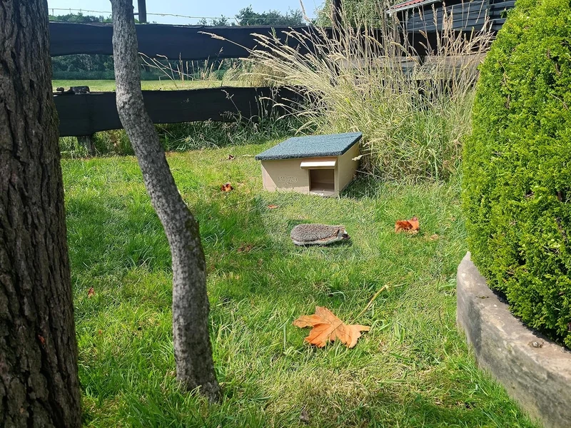 Dokkodo Igelhaus wetterfest aus Holz – Igelhotel & Winterquartier mit Labyrinth-Eingang – Sicherer U