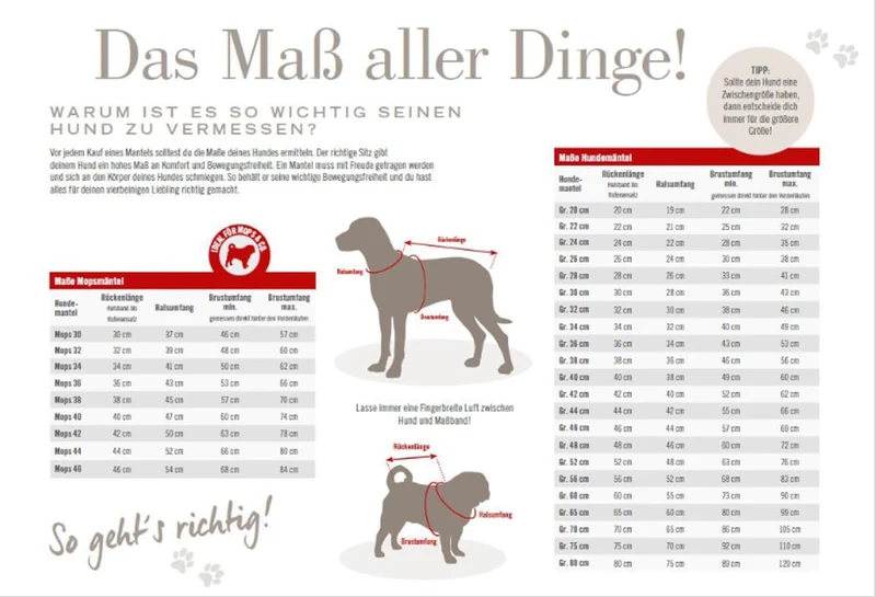 Wolters Regenjacke Easy Rain | Perfekter Schutz bei Regenwetter für Hunde | Farbe Dunkelrot Gr. 36 (
