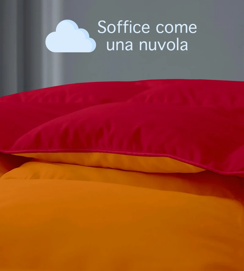 Piumino Invernale Caldo Double Face in Microfibra Anallergica Disponibile in 3 Misure Il Gruppone