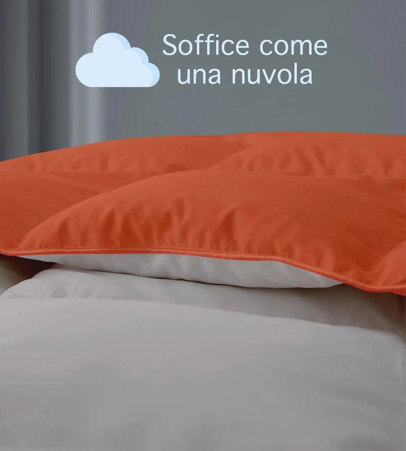 Piumino Invernale Caldo Double Face in Microfibra Anallergica Disponibile in 3 Misure Il Gruppone